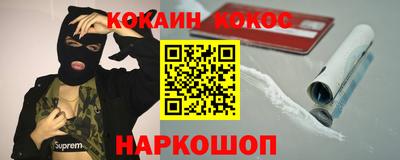 гашик Моздок