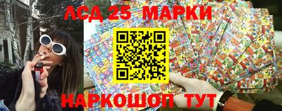 гашик Моздок