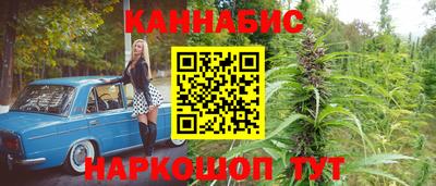 гашик Моздок