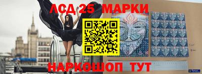 гашик Моздок