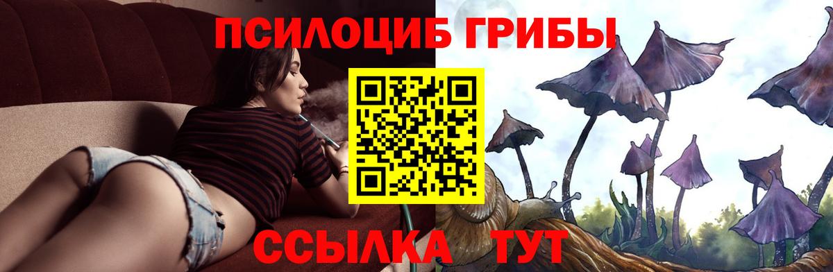 Мончегорск  Псилоцибиновые грибы мухоморы  наркошоп  Вход с VPN 